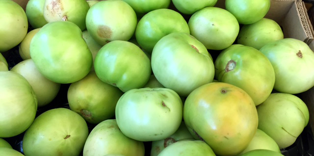 green tomatoes at the farm stand